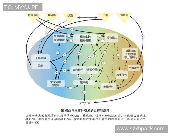 最新研究揭示全球气候变化加剧对生态系统的深远影响及应对策略